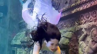 Video 66