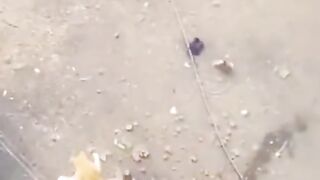 Part 28 | Cats are incredible! Funny cat videos #funnycats #funnyanimals #funnypets