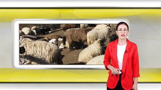 ЗАЩО ПОГОЛОВИЕТО НАМАЛЯВА