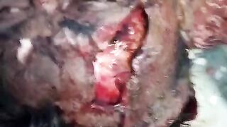 Deadly attack on man