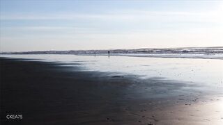 San Francisco's Ocean Beach, Bay Area, California