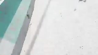 افسوس ناک خبر اگیہ پلیز مجھے معاف کر دو 2