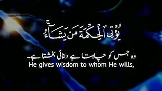 Wisdom 5