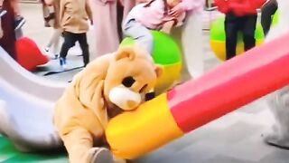 Panda vs bear funny video