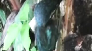Animals That Asked People for Help & Kindness! in 2024 #shorts#animals