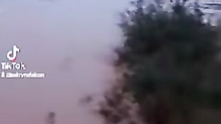 بادية مدينة تدمر 2 2