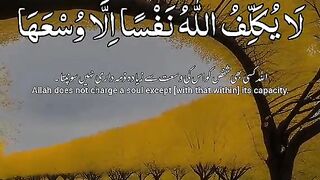 sura   albakra