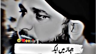 peer sahb great