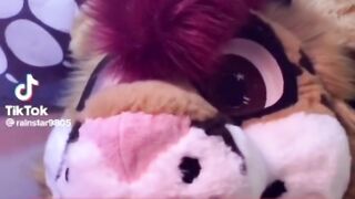 Furry TikTok compilation part 2