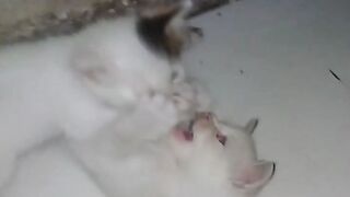 Gak Usah Dipikirin