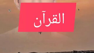 القرآن الکریم 24