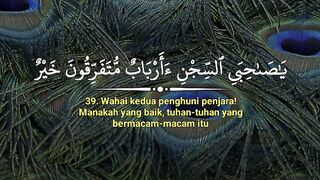 video 333