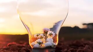 Nice short video 2