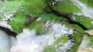 Green kids