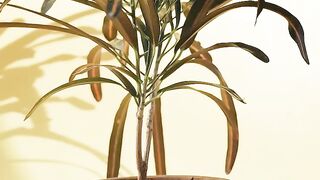 FLOWER 300104