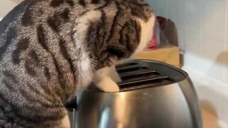 Wait for it 11