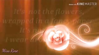 Could_evrything