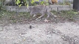 Show em how its done