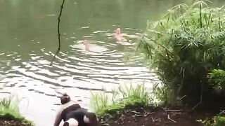 Epic Funny Fails Caught on Camera | Hilarious Moments Compilation