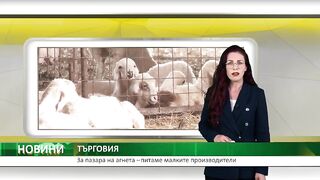 ЗА ПАЗАРЪТ НА АГНЕТА