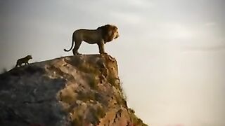 lion the king #viral