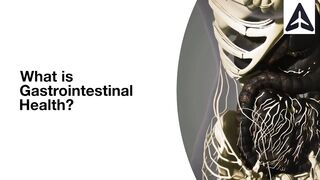 What is Gastrointestinal Health? symptoms precaution and treatment