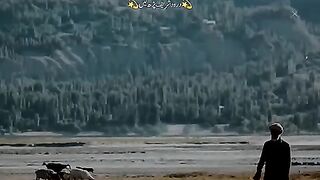 Hazrat_Aswad_Al-Rai ؓ_ka_Islam_Lana_or_Shahdat_Paana_______Peer_Saqib_Raza_????_#hadithwithreference(480p).