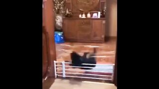 TRY NOT TO LAUGH ???? Best Funny Videos Compilation ???????????? Memes PART 30 2