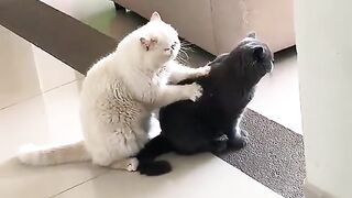 give a massage