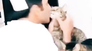 ???????????? 252