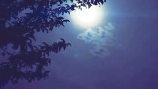 Full Moon
