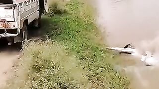 Funny short  #short #funny ❤️????????????????????