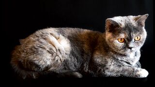 Cate,Nature beauty 0046