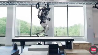 Boston Dynamic Robots