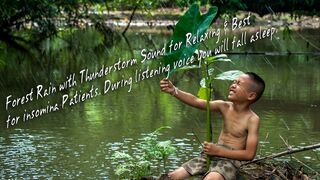 Forest Rain with Thunderstorm Sound for Relaxing & Best for Insomina Patients. Fall asleep.