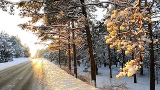 Winter sun