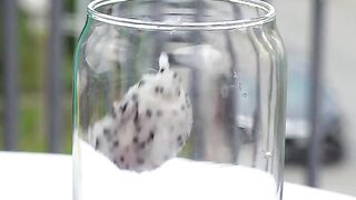 Do you like dragon fruit if not, after this  you can think differently