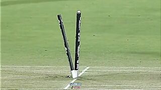The game changer in cricket