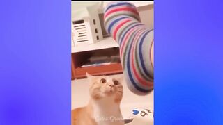 New Funny and Fail Videos 2023  Cutest People Doing Funny Things Part 2
