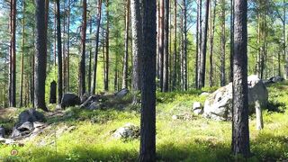Beautiful Mountains Forest and rivers with peaceful sound