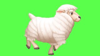 sheep green screen| sheep running green screen| 365Queen