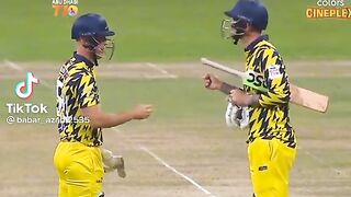 Chris Lynn and hales