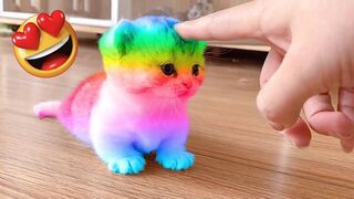 OMG So Cute - Funniest Cats and Dogs Part 2