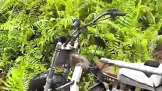 Tidak sesuai harapan 2