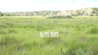 Almeirim