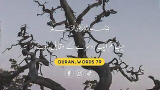 القرآن