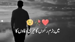 Attitude status for boys ???????? Sad Urdu Poetry WhatsApp Status #friendship