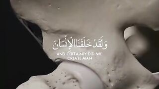 Quran 277