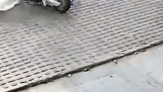 Funny shorts 20