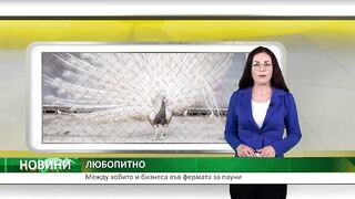 ФЕРМА ЗА ПАУНИ КРАЙ ХАСКОВО